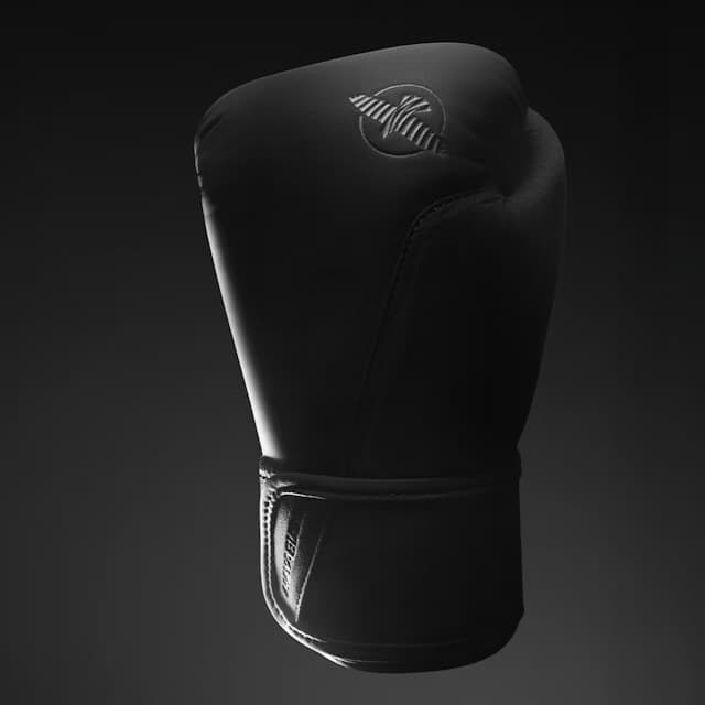 Boxerské rukavice - HAYABUSA - T360