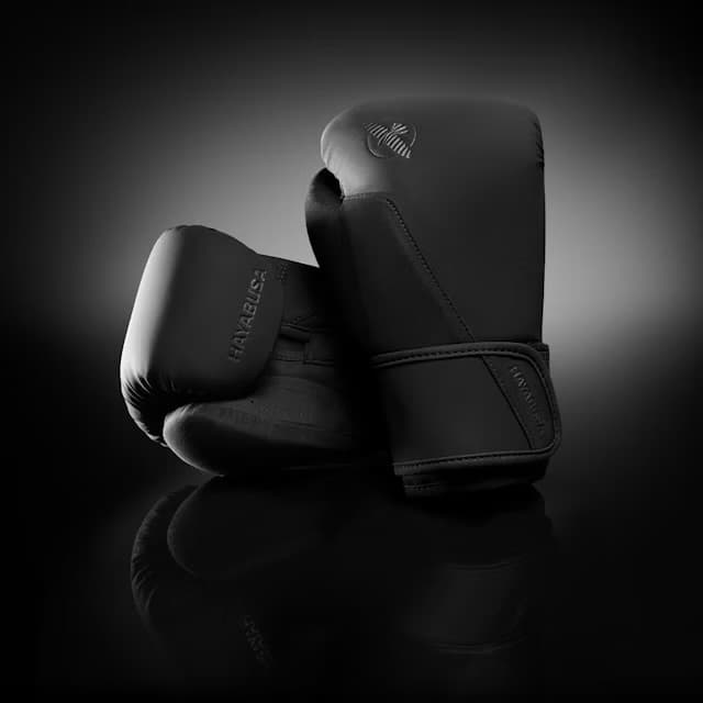 Boxerské rukavice - HAYABUSA - T360