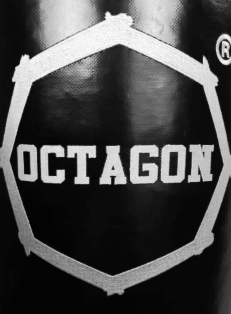 Boxovacie vrece - OCTAGON - 140x35cm - Reťaz