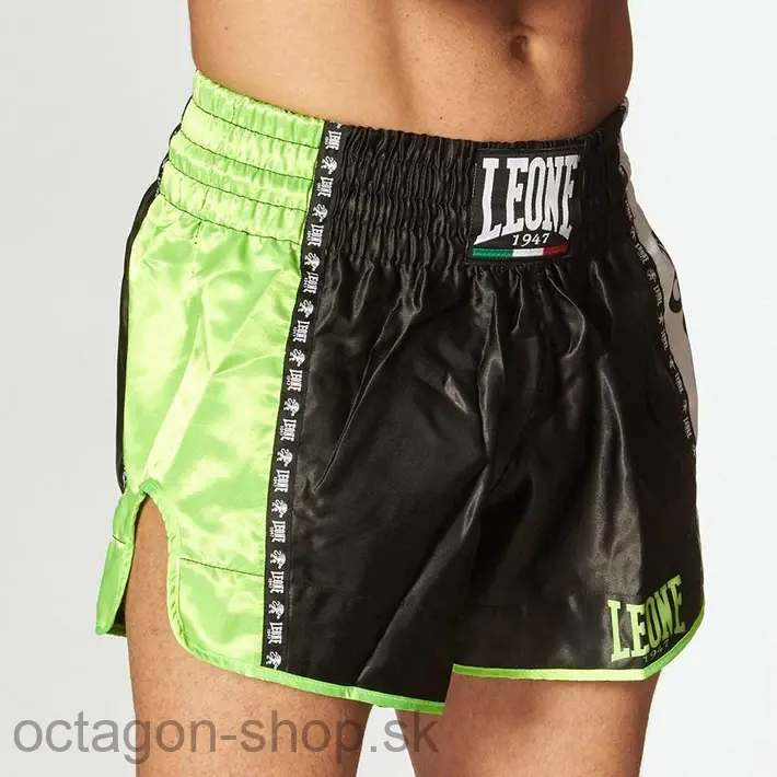 Muay Thai Trenky - LEONE - Kick and Thai